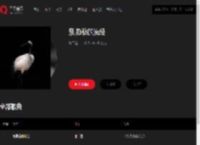 千千音乐