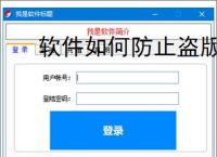 软件如何防止盗版？7大实用防护策略