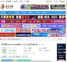 Nicat17.2下载 云仓管理Nicat for Snowflake 17 v17.2.5 官方正式版 x64 下载-脚本之家