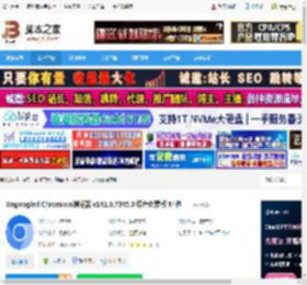 Ungoogled下载 Ungoogled Chromium浏览器 v141.0.7345.0 绿色免费版 64位 下载-脚本之家